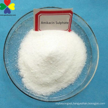 Factory Price Antibiotic Drugs Amikacin Sulphate Powder